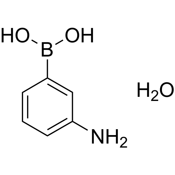 3-Aminophenylboronic acid monohydrate 206658-89-1